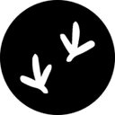 Raven logo