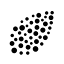 Shiru logo